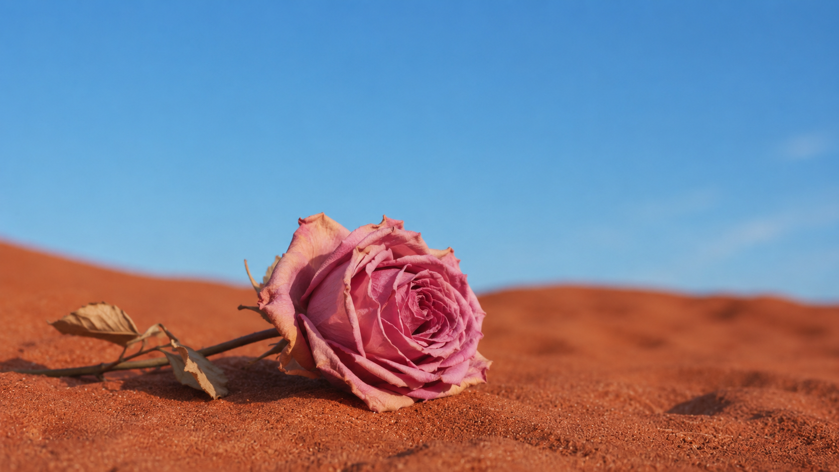 A small bowl of rose petals with sliced fig and a glass carafe of coconut water on cream linen — cooling, moistening foods for vaginal dryness natural remedies