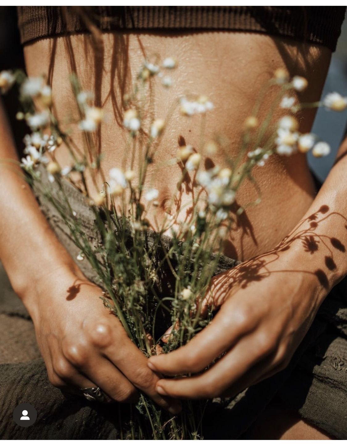 Close-up of a woman's hands in her lap holding a bundle of wild chamomile in warm sunlight, soft flower shadows falling across her bare midriff